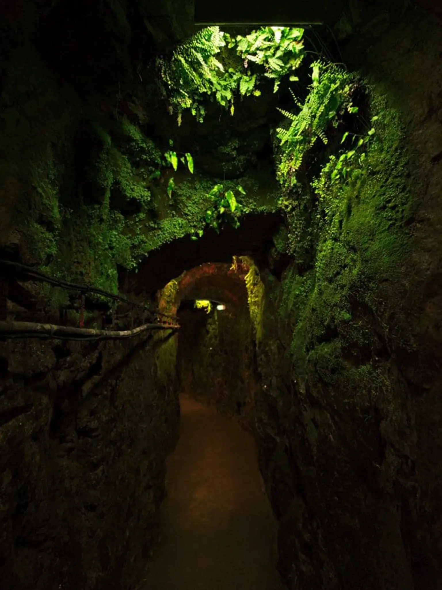 Fleurine caves de Roquefort